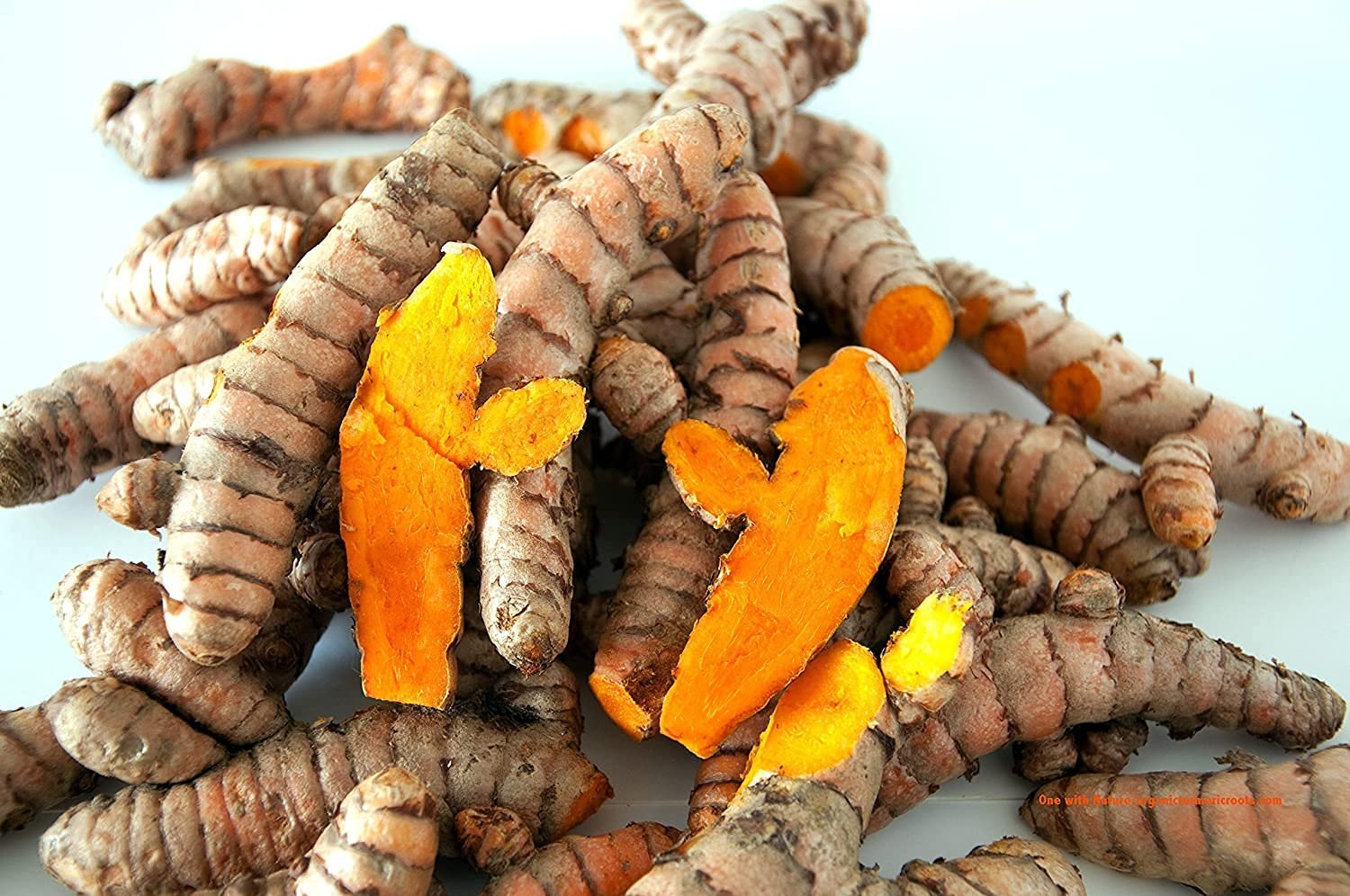 Fresh turmeric (wet)high curcumin value