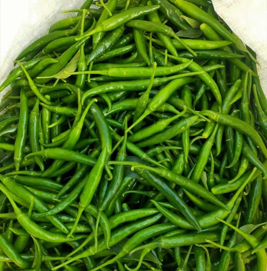 G4 Green Chilli
