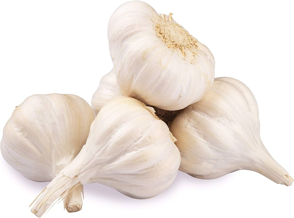 Garlic