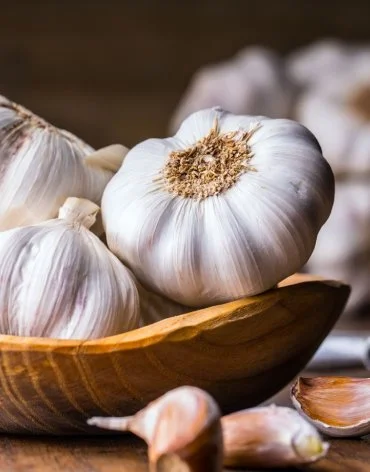 Garlic