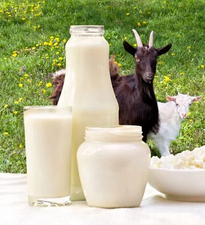 Goat Milk