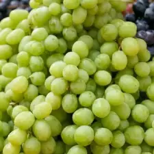 Grapes