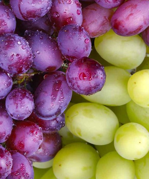 Grapes