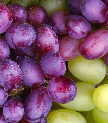 Grapes