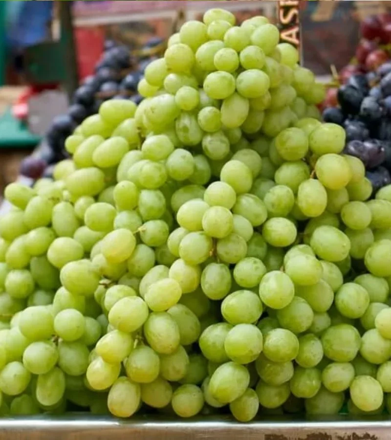 Grapes