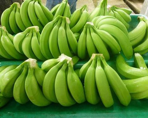 Green Banana