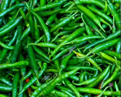Green Chilli