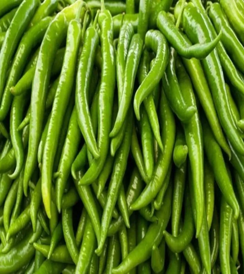 Green Chilli