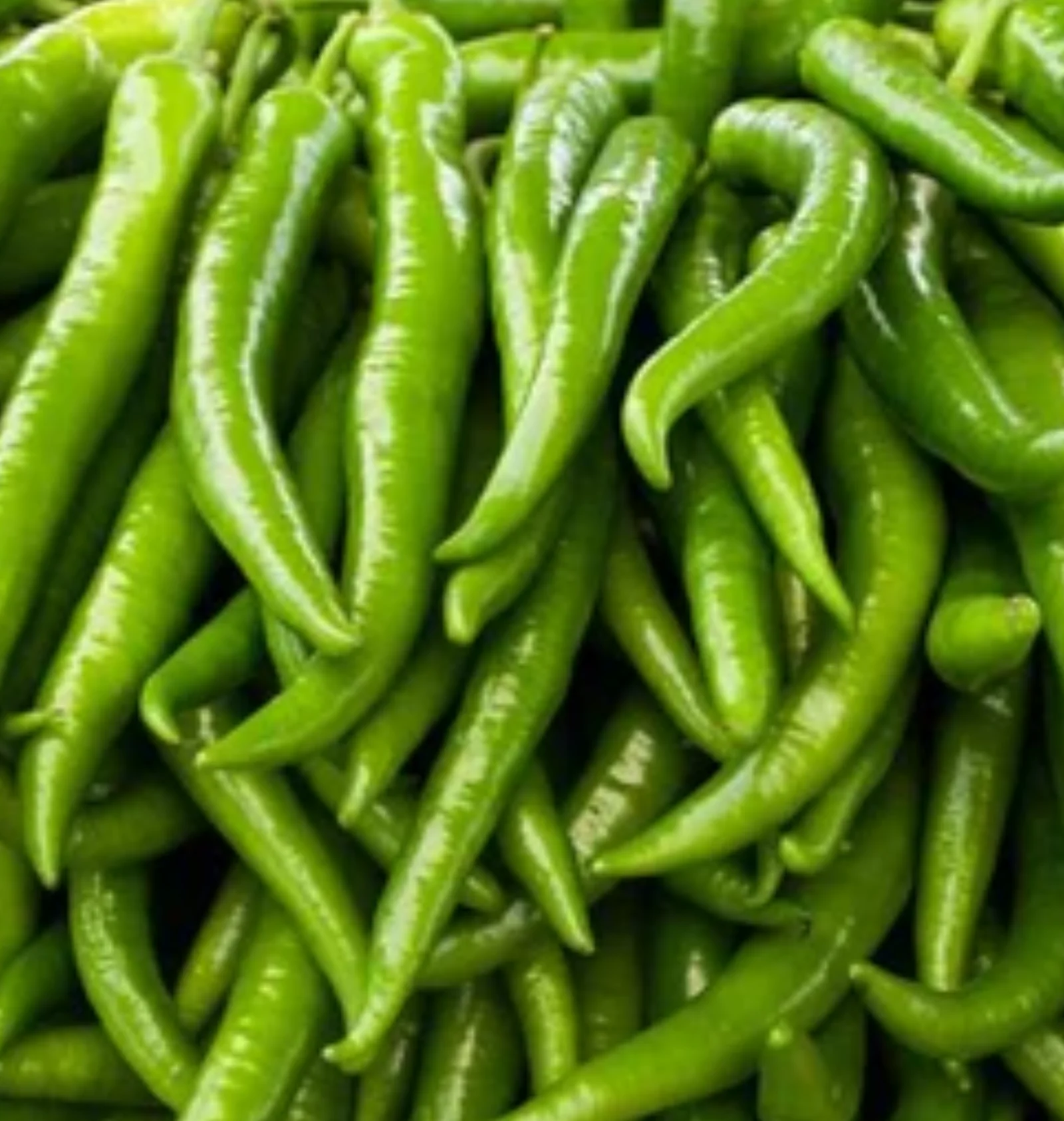 Green Chilli