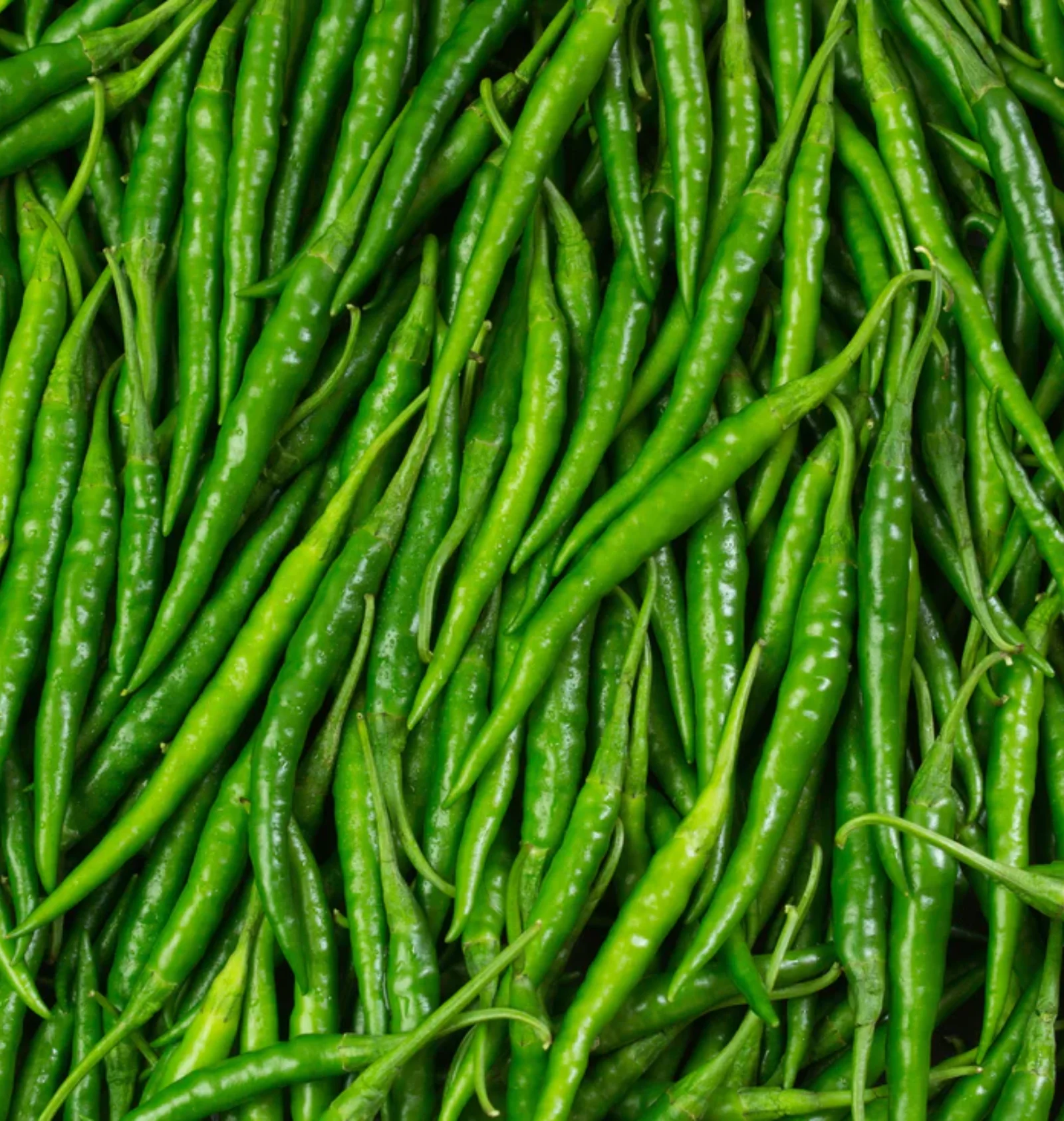 Green Chilli