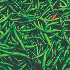 Green Chilli