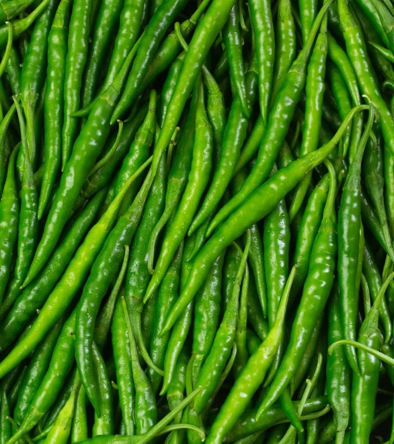 Green Chilli