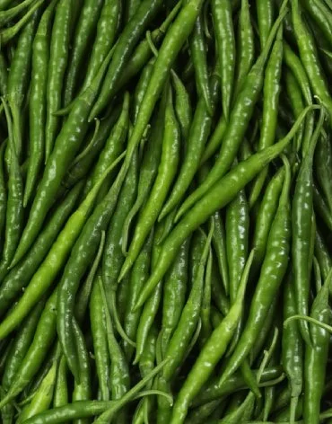 Green Chilli