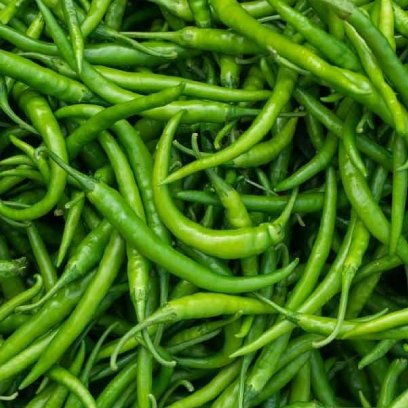 Green Chilli