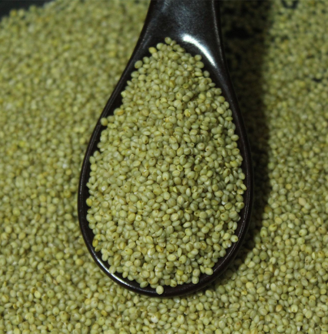 Green Millet