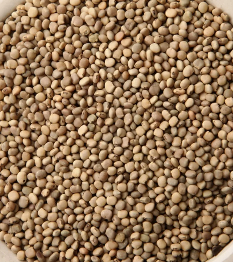 Guar Gum Seeds