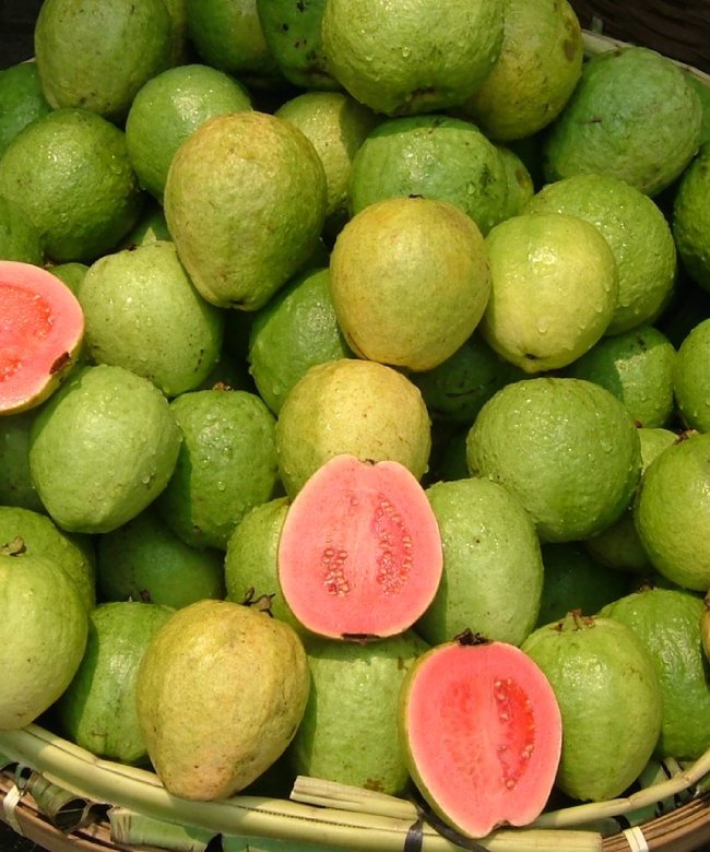 Guava