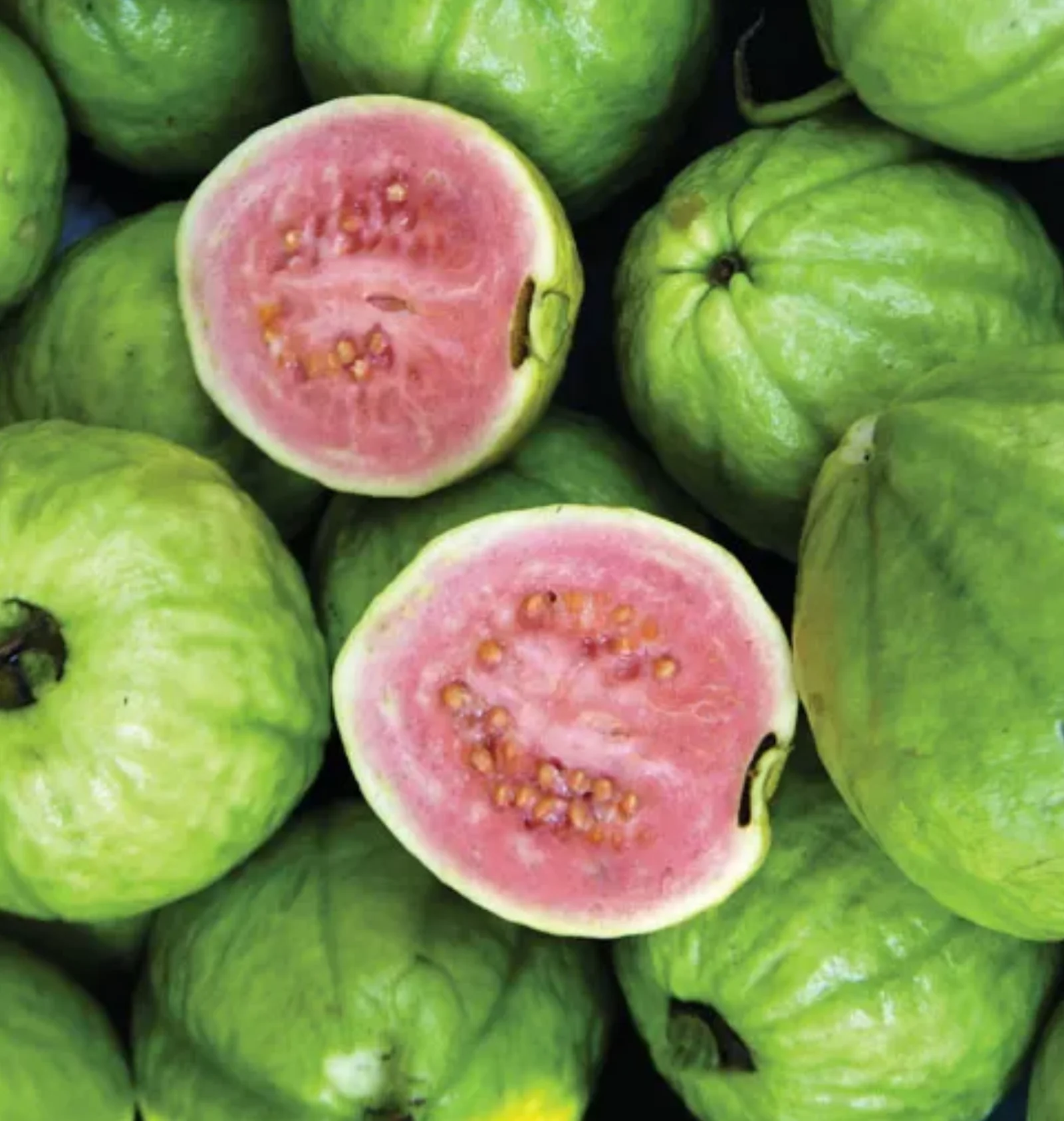 Guava