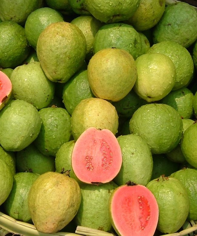 Guava