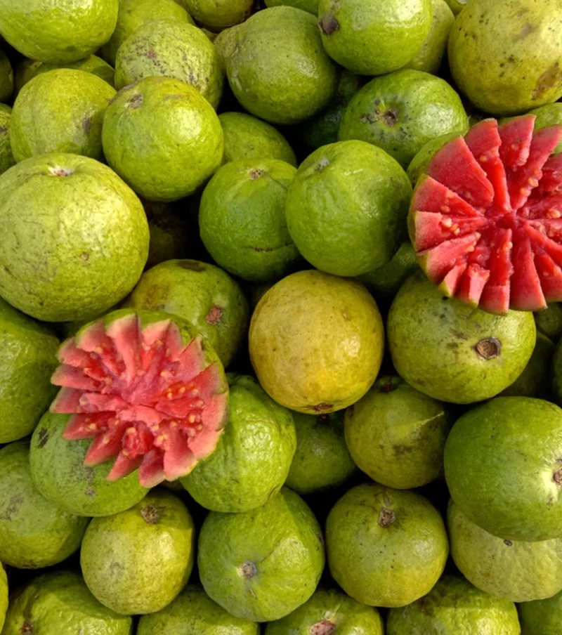 Guava