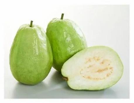 Guava