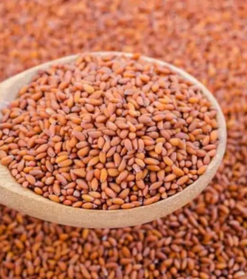 Halim Seeds