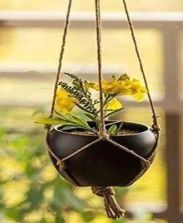 Hanging Pot 02