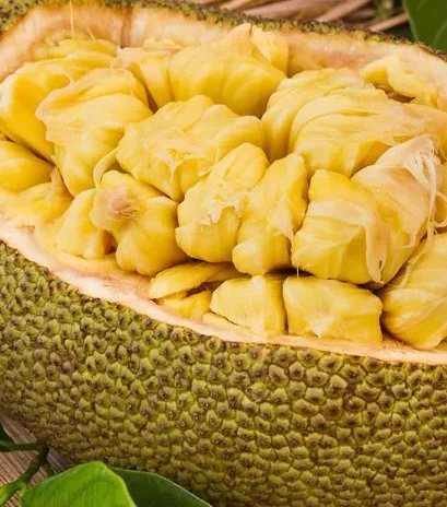 Jackfruit