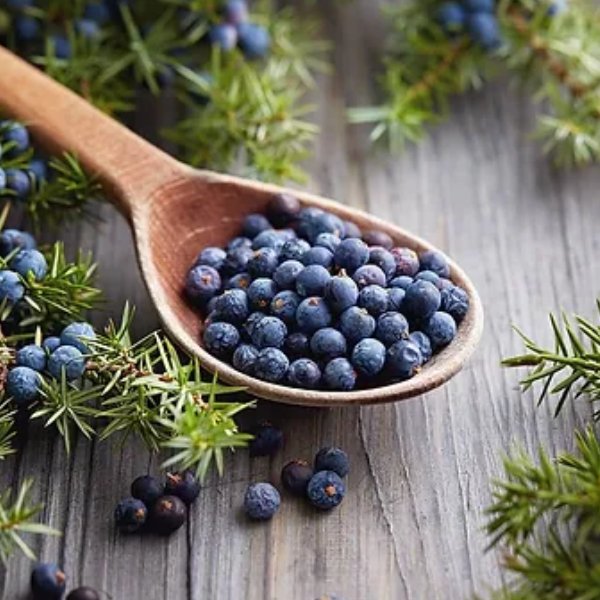 Juniper Berries