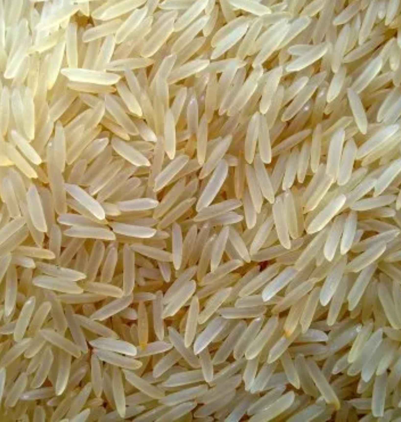 Long grain rice