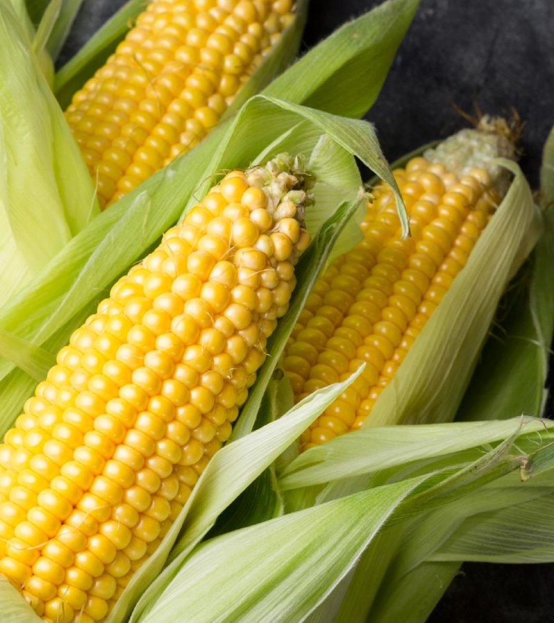 Maize (Corn)