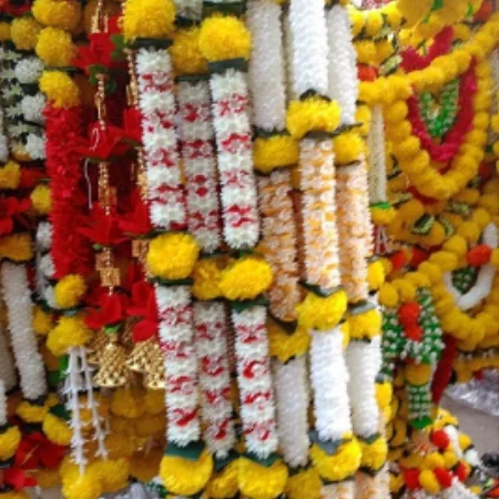 Marigold FLower Latkran