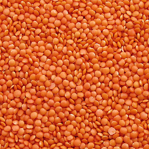 Masoor Dal
