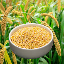 Millets