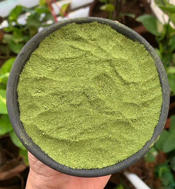 Moringa Dry Powder