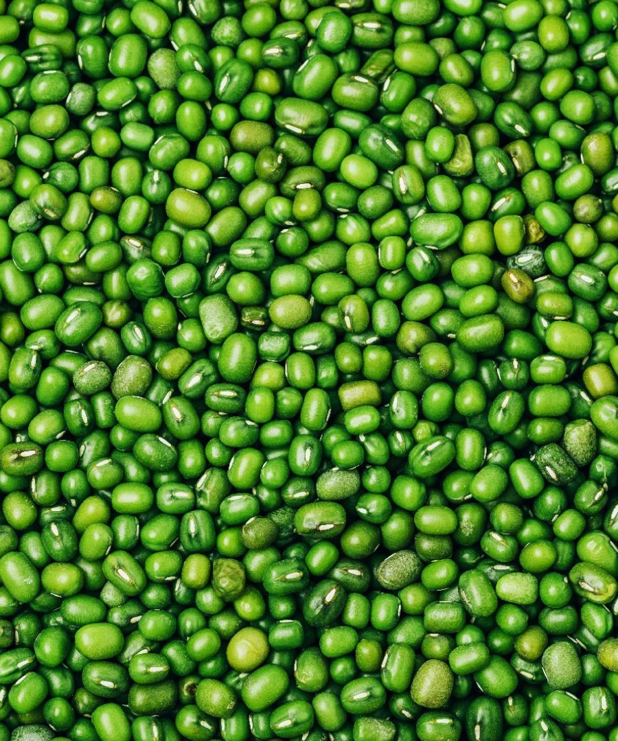 Mung Beans