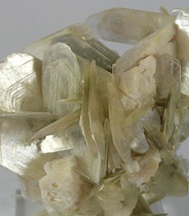 Muscovite