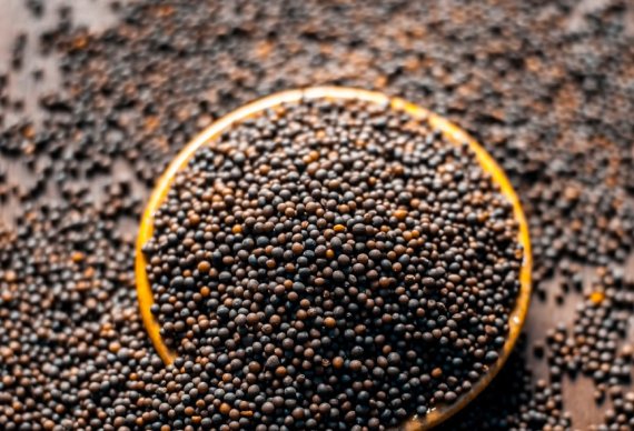 Mustard Seeds