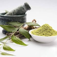 Neem Leaf Powder
