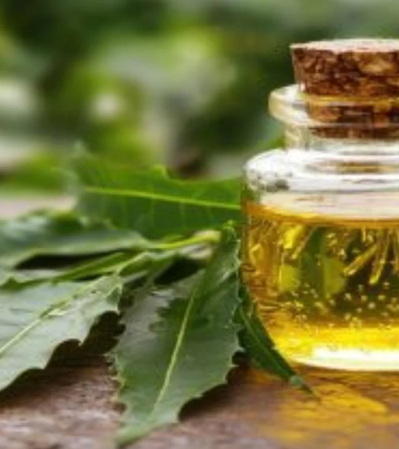 Neem Oil