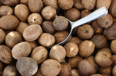 Nutmeg