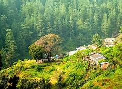 Nainital With Ranikhet Trip 3N/4D