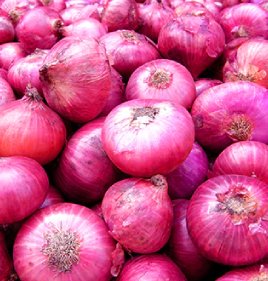 ONION