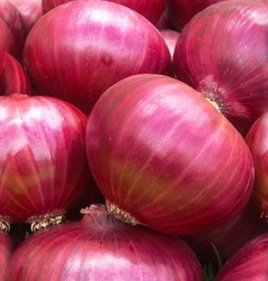ONION