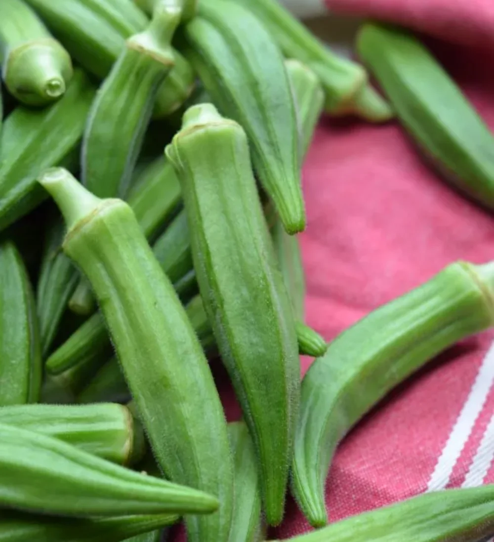 Okra