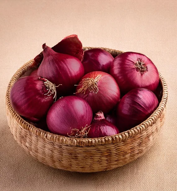 Onion
