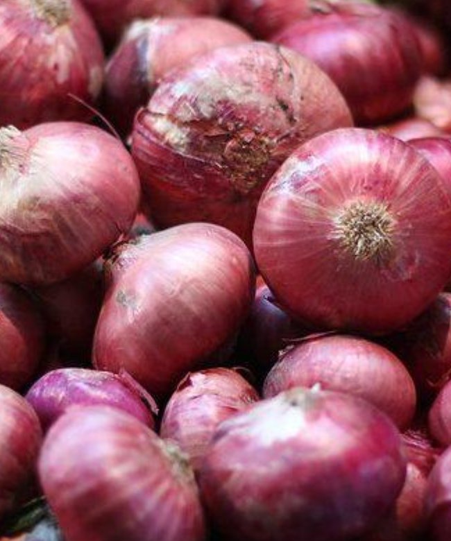 Onion