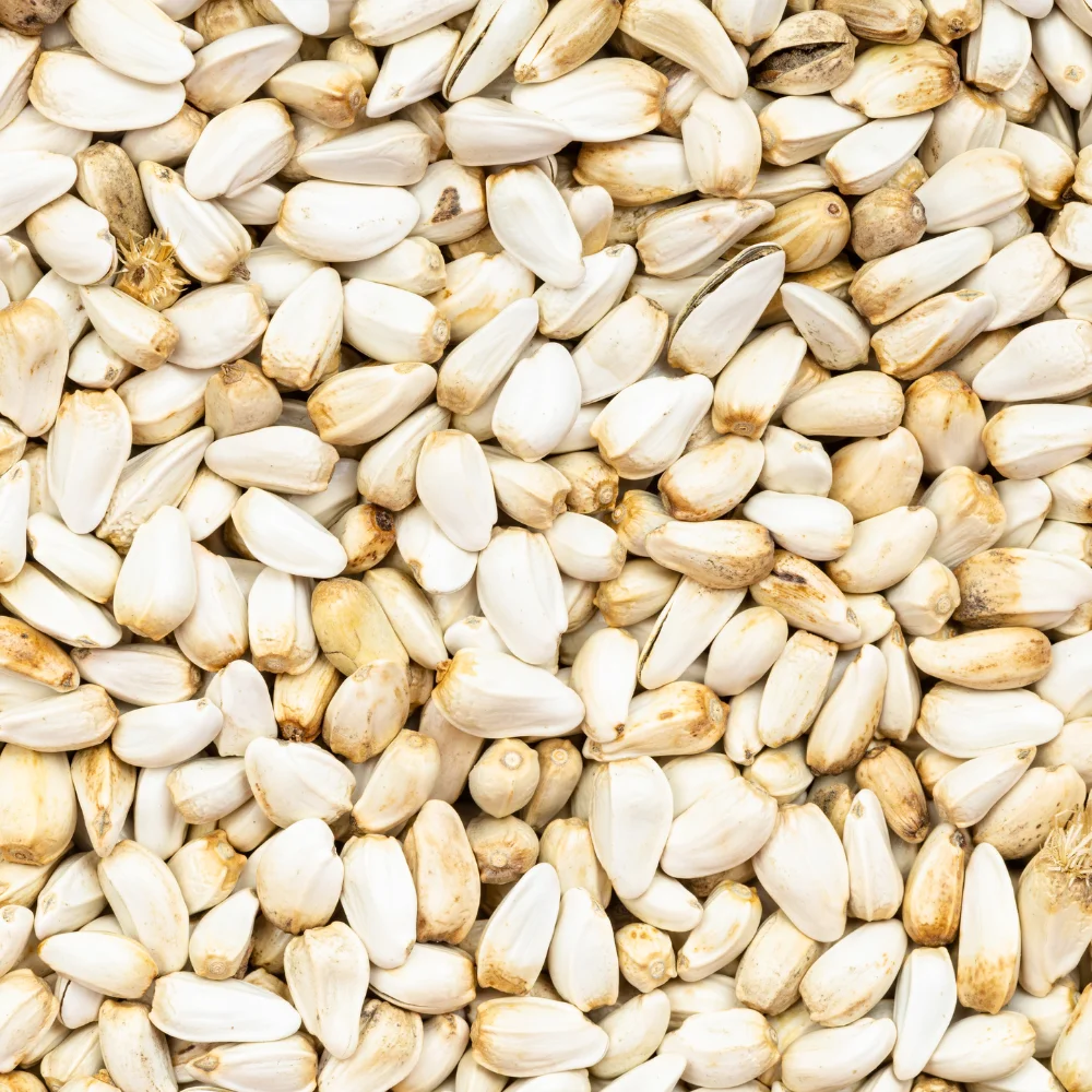 Organic Safflower Seeds