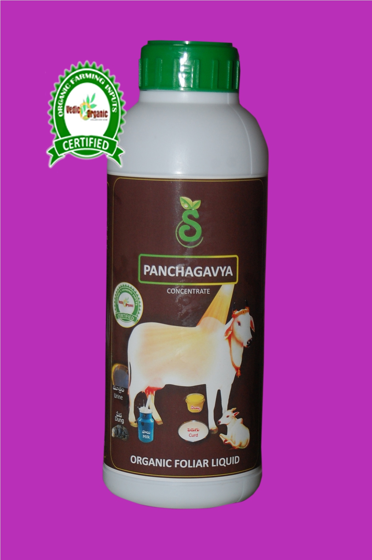 PANCHAGAVYA