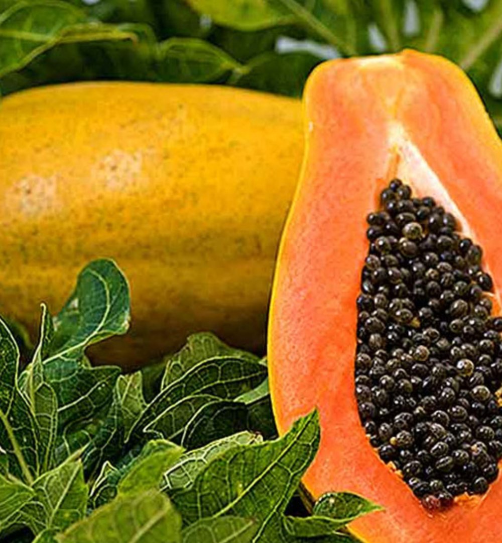 Papaya